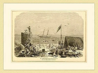 Die Robinsonade auf dem Korallenriff M. E. Plankenau ORIGINAL HOLZSTICH III 503 - Bild 1 von 1