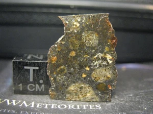 Meteorite NWA 8261, Nice new eucrite breccia with autolithic clasts - Picture 1 of 2