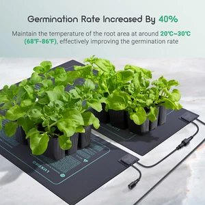 2/4 Pcs Seedling Heat Mats Digital Thermostat Controller Daisy Chain Hydroponic - Bild 1 von 11
