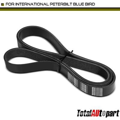 Correa serpentina de 77,58" de alta resistencia para cosechadora internacional Peterbilt 5600i Foto 1 de 4