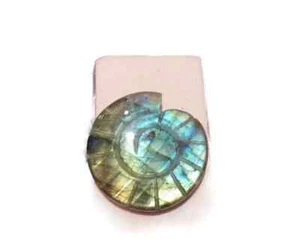 Labradorit Ammonit graviert Cabochon 33,2 mm 70 ct. Nr. U28258 - Bild 1 von 2