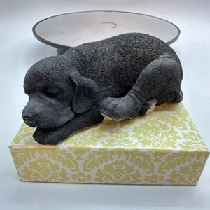 Artista country coleccionable Nick Nack "Black Labrador Lying" 02437 4 pulgadas con 1,5 h - Imagen 1 de 6
