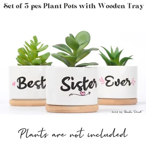 Regalo único para hermana, mejor hermana de la historia 3 piezas ollas suculentas con caja de regalo. Nuevo - Imagen 1 de 6
