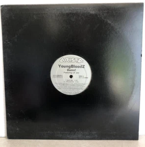 YoungBloodZ DAMN! Featuring Lil' Jon Vinyl LP Record 33 1/3 RPM - Picture 1 of 4