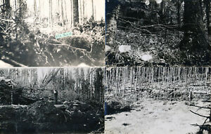 4 photos allemandes champ de bataille du VIOLU Vosges 1915 ! 