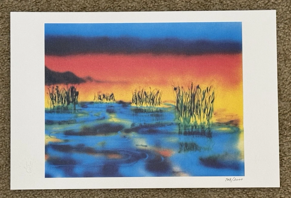 Póster litográfico Jerry Garcia humedales impresión artística Grateful Dead #748/1000 Foto 1 de 4