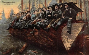 Vintage Washington Log und Holzfäller aufgeteilte Rückseite Postkarte Frank A Neyhart & Co - Bild 1 von 2