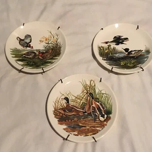 John James Audubon Birds Of America plates Lot 3 Mallard Duck Red Merganser - Picture 1 of 7