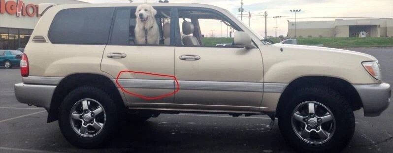 98-04 Toyota Land Cruiser Right Passenger Rear Exterior Door Molding OEM P3 - Image 1 of 4