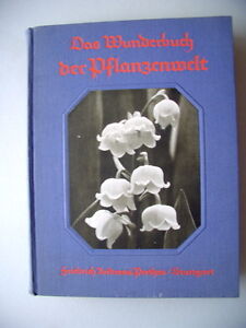 Wunderbuch der Pflanzenwelt .. Einführung .. grüne Wunder der Natur 1931 Pflanze