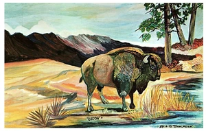 Mouth Artist Painting Repro by Nyla Thompson Bison by the River Postcard - Picture 1 of 2