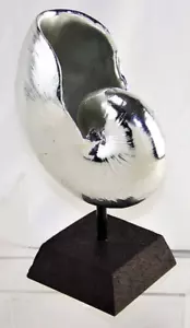 Silver Shiny Shell on Black Matte Stand 9.75 inches Tall for Any Room Home Decor - Picture 1 of 9