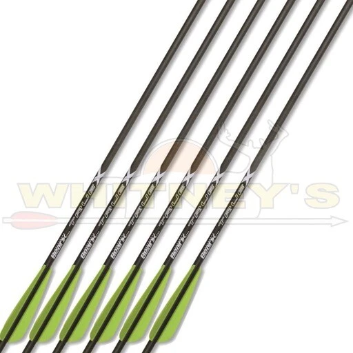 Pernos de ballesta Bear Archery True X - 6pk - ACBK20 Foto 1 de 1