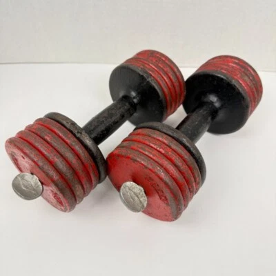 De Colección YORK Barra Aristócrata Mancuernas Culturismo Fitness Hogar Gimnasio Hombre Fuerte Foto 1 de 4