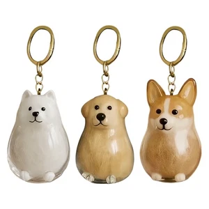 1* Hundehaar Sammler Schlüsselanhänger durchsichtig Haustier Denkmal Aufbewahrungsbox Hundehaar Andenken - Bild 1 von 15