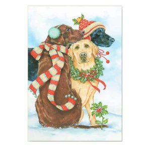 Three Dogs Boxed Christmas Cards Set of 10 Xmas Animals Cute - Picture 1 of 1