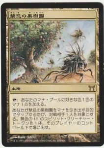 Champions of Kamigawa MTG Japanese Forbidden Orchard Magic - Picture 1 of 2