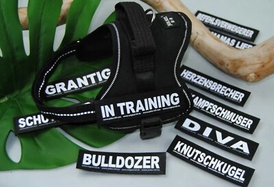 Julius-K9 Powergeschirr SCHWARZ Gr.Mini-Mini + 10 Stück Klettlogos GRATIS