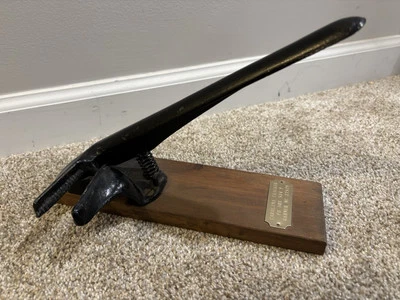 Galleta pecana “Carolina Cracker”, Garner NC Foto 1 de 4