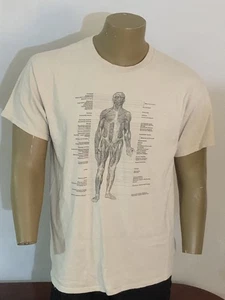 Camiseta Anatomía Médica Gildan Grande Delantera y Trasera Anatomía Color Tostado Única - Imagen 1 de 11