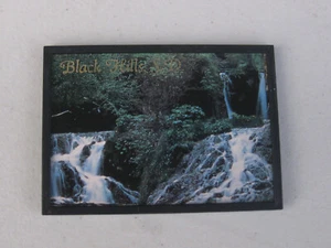 Black Hills, S.D. kleines kartenähnliches 2,5" x 3,5" Bild Souvenir (South Dakota) - Bild 1 von 2