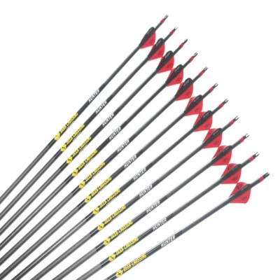 12pcs carbon arrows spine300 340 400 500 600 ID6.2mm arrow shafts 2"plastic vane - Image 1 of 4