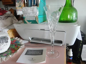 Waterford crystal Happinness Millennium 9 1/4" toasting flute - Picture 1 of 2