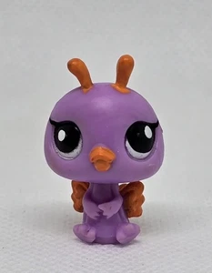 Littlest Pet Shop lila orange Vogel #2796 Fee Spaß Achterbahn Miniatur 03 - Bild 1 von 5