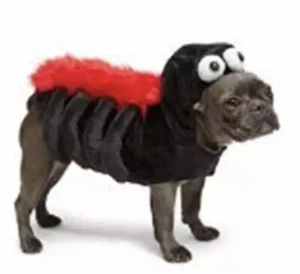 MARTHA STEWART New Halloween Small Dog Costume Spider Black Red Pet Soft Furry - Picture 1 of 9