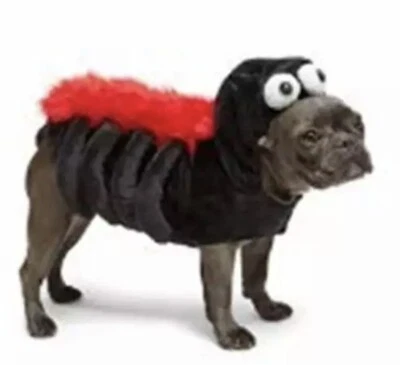 MARTHA STEWART Nuevo Disfraz Halloween Perro Pequeño Araña Negro Rojo Mascota Suave Peludo Foto 1 de 4