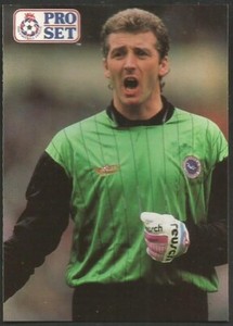 PRO SET 1990/91- #141-BRIGHTON & HOVE ALBION-PERRY DIGWEED