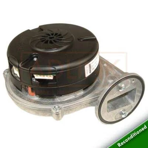 VENTILADOR FERROLI OPTIMAX HE PLUS 18 OV Y 25 OV 39828060 VIENE CON 1 AÑO DE GARANTÍA - Imagen 1 de 1