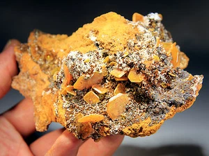 New Find! 5" Wulfenite Blades on Matrix, Eruption Mine, Chihuahua, Mexico! W251 - Picture 1 of 6