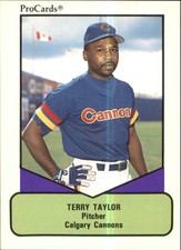 1990 ProCards AAA #116 Terry Taylor