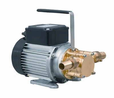 Pompa olio combustibile Calpeda WP 15 230 V pompa diesel pompa officina pompa acqua