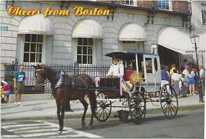 Horse Postcard - Cheers - Boston - 