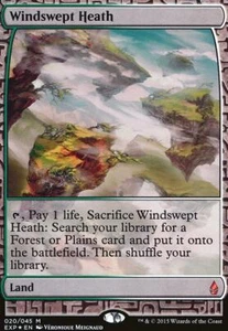 Lande venteuse FOIL PREMIUM Windswept Heath  Zendikar Expeditions Magic Mtg - Picture 1 of 1