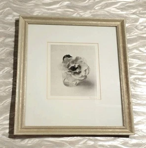 Floral Black And White Photograph Framed Art By Doug Benezra - Picture 1 of 7