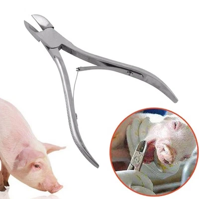 Stainless Steel Veterinary Piglet Teeth Pliers Tartar Remover - image 1 of 4