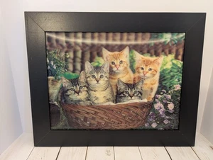 Kittens In Basket Holographic Picture 19x15. 75 In Wood Frame Flowers Movement - Bild 1 von 6