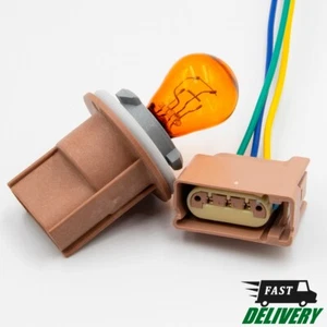 Toma de señal de giro + bombilla + conector Freightliner Coronado. 2001-2020. A0636848000 - Imagen 1 de 5