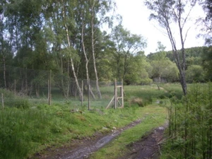 Photo 6x4 Pheasant rearing pens Bridge of Canny Near Bog Loch. c2009 - Picture 1 of 1