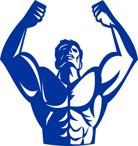 Aufkleber - Bodybuilding - GYM Body 034 Sticker Autoaufkleber Fitness Muskeln - Bild 1 von 14