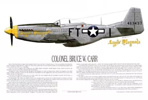 P-51D, Mustang Ace, Bruce Carr, Artist, E. Boyette - Picture 1 of 1