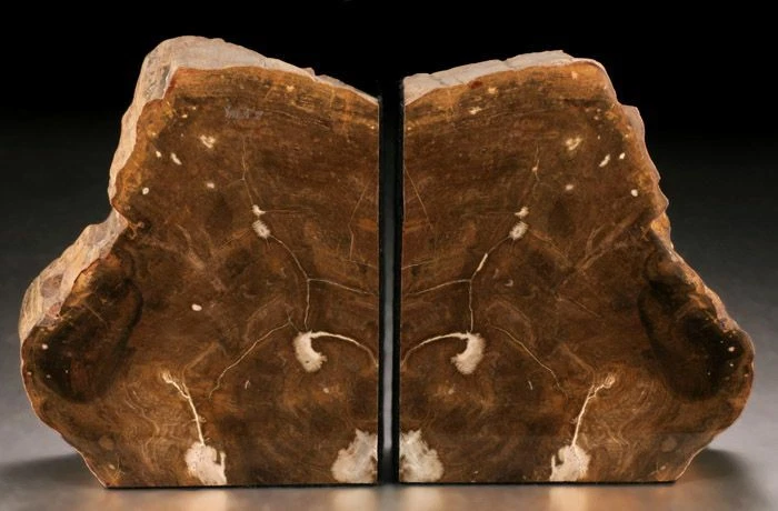 These Petrified Wood bookends are more neutral/earth toned uniquely beautiful - Image 1 of 1
