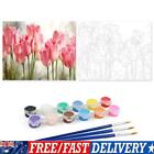 Painting By Numbers Kit DIY Beautiful Flower Canvas Oil Art Picture Home Decor