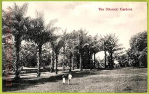 ae9215 - SINGAPUR - POSTAL DE COLECCIÓN - Los Jardines Botánicos - Imagen 1 de 1