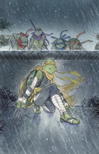 🔥 TMNT JENNIKA #3 PEACH MOMOKO VIRGIN VARIANT TEENAGE MUTANT NINJA TURTLES! - Bild 1 von 1