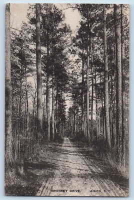 Aiken South Carolina SC Postcard Whitney Drive Dirt Road And Trees Vintage - Image 1 of 2