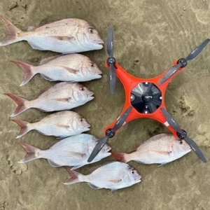Underwater FPV UAS Fishing Drones UAV Air Drop Fish Bait Camera Fishermen ROV - Bild 1 von 4